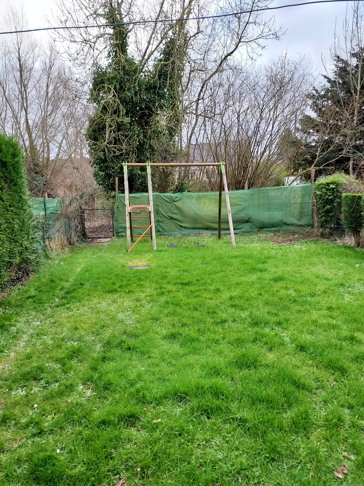 Jardin engazonné bordé de haies, maison à Godewaersvelde